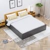 Hexa Engineered Wood Modern Queen Bed With Headboard With Storage In Frosty White And Giant Wood
