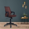 Ddeasirea Mid Back Ergonomic Chair in Brown Colour