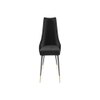 Sumra Solid Wood Accent Chair in Black Colour