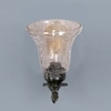 Devansh Metal Electric Wall Light in Antique gold Colour with Transparent Shade Count of 1 Light