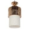 Eliante Modern Hanging Lights Mild Steel & Glass Material Gold & White Finish