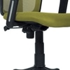 Eexcaeal Mid Back Ergonomic Chair in Pearl Green Colour