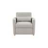 Jernell 1 Seater Sofa Cum Bed In Grey Color