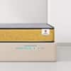 Sleepwell Ortho Pro Spring Mattress Medium Firm King 78x70x8 Inch