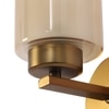 Eliante Modern Wall Lights Mild Steel & Glass Material Antique Gold & Champaign Finish