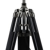 Shaylyn Natural Lenin Shade Table Lamp