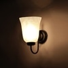 Devansh Metal Electric Wall Light in black Colour with White Shade Count of 1 Light