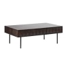 Lissette Storage Coffee Table