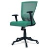 Ebeaony Mid Back Ergonomic Chair in Dark Green Colour