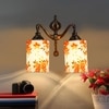 Devansh Metal Electric Wall Light in Multi Colour with Multi Shade Count of 2 Lights