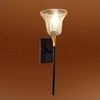 Devansh Metal Electric Wall Light in black Colour with Lavender Shade Count of 1 Light