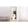 Decorative Mirror and Bathroom Mirror ELF4818MRREM00126