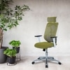 Wiweangs High Back Ergonomic Chair in Pearl Green Colour