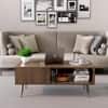 Hexa Engineered Wood Modern Coffee Table With Golden Metal Legs In Flower Wenge