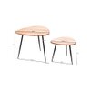 Lexina Solid Wood Nested Tables - Set of 2