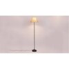 Daniesha Beige Natural Fiber Floor Lamp with Black Iron Base