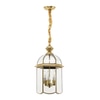 Kiwi Metal Hanging Light