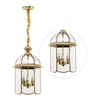 Kiwi Metal Hanging Light
