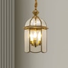 Kiwi Metal Hanging Light