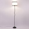 Willow Multicolour Fabric Floor Lamp with Black Iron Base
