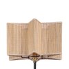 Brody Beige Bamboo Floor Lamp with Black Iron Base