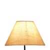 Dosia White Natural Fiber Floor Lamp with Black Iron Base
