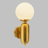 Rosa Wall Lamp