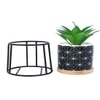 Highly Attractive Succulent Plant With A Geometric Patterned Ceramic Pot In A Stand