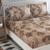 Valentina Beige Floral 160 TC Cotton Double Size Bedsheet with 2 Pillow Covers