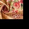 Noa Multicolor Floral 160 TC Cotton Double Size Bedsheet with 2 Pillow Covers