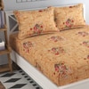 Noa Multicolor Floral 160 TC Cotton Double Size Bedsheet with 2 Pillow Covers