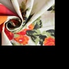 Carla Orange Floral 160 TC Cotton Double Size Bedsheet with 2 Pillow Covers