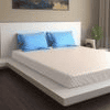 Deance R Blue 27X18 Inches Cotton Pillow Cover Set Of 2