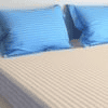 Deance R Blue 27X18 Inches Cotton Pillow Cover Set Of 2