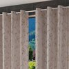 Dianthe Door Curtains Set of 2