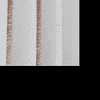 Jayce Window Curtains Set of 2