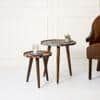 Muddy Miles Round Nesting Tables with Wooden Legs, Side Tables, Wooden Tables, Living Room Decor by A Tiny Mistake