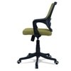 Ddeasirea Mid Back Ergonomic Chair in Pearl Green Colour