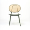 Mantis Veneer Dining Chair in Green Colour