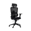 Falcon High Back Mesh Office Chair in Black Colour