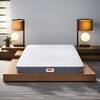 Rizewell Silky-Soft Fabric Pocket Spring Mattress