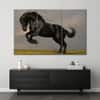 Truss Black Green Pieces Striking Friesian Stallion Canvas Wall Prints Set of 3 Multicolor Matte