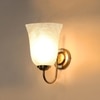 Devansh Steel Electric Wall Light in Steel Colour with White Shade Count of 1 Light