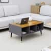Hexa Engineered Wood Coffee Table With Storage And Open Rack In Slate Grey And Giant Wood