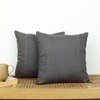 Megh Set Of 2 Cushion Cover With Blue Colour