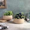 Bowl Textured Planter Set Of 2 In Beige Colour
