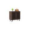 Carlem 2 Door Free Standing Engineered Wood Shoe Rack in Wenge Finish