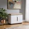 Baltoro Engineered Wood Shoe Rack with Seating in White Finish