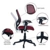 Goolda Low Back Ergonomic Chair in Maroon Colour