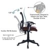 Eexcaeal Mid Back Ergonomic Chair in Brown Colour